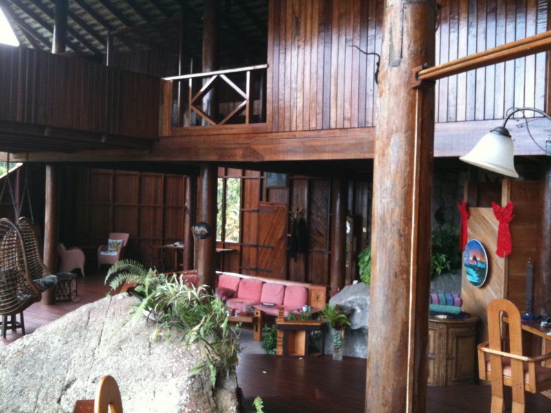 our2ndhomethetreehouse16.jpg